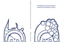 Investigations on the role of impaired lysosomes of macrophages in disease