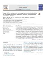 Impact of CeO2 nanoparticles on the aggregation kinetics and stability of polystyrene nanoplastics: importance of surface functionalization and solution chemistry