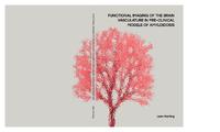 Functional imaging of the brain vasculature in pre-clinical models of amyloidosis