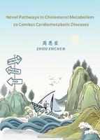 Novel pathways in cholesterol metabolism to combat cardiometabolic diseases