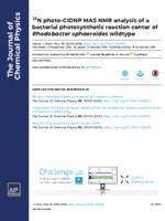 15N photo-CIDNP MAS NMR analysis of a bacterial photosynthetic reaction center of rhodobacter sphaeroides wildtype