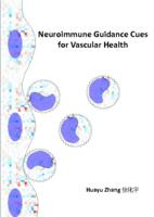 Neuroimmune guidance cues for vascular health