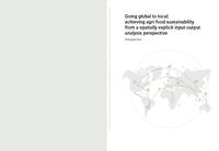 Going global to local: achieving agri-food sustainability from a spatially explicit input-output analysis perspective