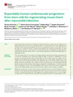 Expandable human cardiovascular progenitors from stem cells for regenerating mouse heart after myocardial infarction