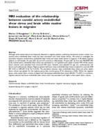 MRI evaluation of the relationship between carotid artery endothelial shear stress and brain white matter lesions in migraine