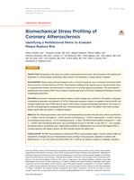 Biomechanical stress profiling of coronary atherosclerosis identifying a multifactorial metric to evaluate plaque rupture risk