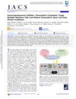 Immunoproteasome inhibitor-doxorubicin conjugates target multiple myeloma cells and release doxorubicin upon low-dose photon irradiation