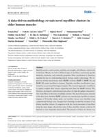 A data-driven methodology reveals novel myofiber clusters in older human muscles