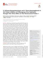 6 '-beta-fluoro-homoaristeromycin and 6 '-fluoro-homoneplanocin a are potent inhibitors of Chikungunya virus replication through their direct effect on viral nonstructural protein 1