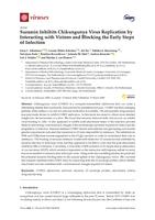 Suramin inhibits chikungunya virus replication by interacting with virions and blocking the early steps of infection