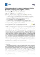 Loss of endothelial glycocalyx hyaluronan impairs endothelial stability and adaptive vascular remodeling after arterial ischemia