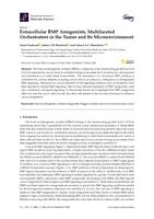 Extracellular BMP antagonists, multifaceted orchestrators in the tumor and its microenvironment