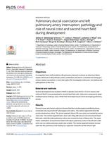 Pulmonary ductal coarctation and left pulmonary artery interruption