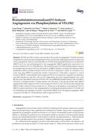 Bis(maltolato)oxovanadium(IV) induces angiogenesis via phosphorylation of VEGFR2