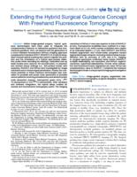 Extending the hybrid surgical guidance concept with freehand fluorescence tomography
