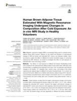 Human brown adipose tissue estimated with magnetic resonance imaging undergoes changes in composition after cold exposure