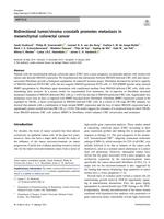 Bidirectional tumor/stroma crosstalk promotes metastasis in mesenchymal colorectal cancer