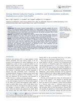 Synergy between induction heating, antibiotics, and N-acetylcysteine eradicates Staphylococcus aureus from biofilm