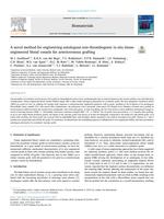 A novel method for engineering autologous non-thrombogenic in situ tissue-engineered blood vessels for arteriovenous grafting