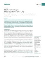 Ebola hemorrhagic shock syndrome-on-a-chip