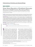 Shear stress regulation of endothelial glycocalyx structure is determined by glucobiosynthesis