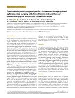 Carcinoembryonic antigen-specific, fluorescent image-guided cytoreductive surgery with hyperthermic intraperitoneal chemotherapy for metastatic colorectal cancer