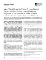MicroRNA-411 and its 5 '-IsomiR have distinct targets and functions and are differentially regulated in the vasculature under ischemia