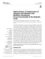 Hybrid chains: a collaboration of ubiquitin and ubiquitin-like modifiers introducing cross-functionality to the ubiquitin code