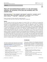 Major p53 immunohistochemical patterns in in situ and invasive squamous cell carcinomas of the vulva and correlation with TP53 mutation status