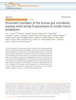 Prominent members of the human gut microbiota express endo-acting O-glycanases to initiate mucin breakdown