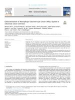 Characterization of Macrophage Galactose-type Lectin (MGL) ligands in colorectal cancer cell lines