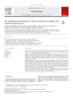 The identification and function of a Netrin-1 mutation in a pedigree with premature atherosclerosis