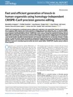 Fast and efficient generation of knock-in human organoids using homology-independent CRISPR-Cas9 precision genome editing