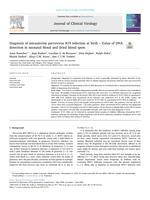 Diagnosis of intrauterine parvovirus B19 infection at birth - value of DNA detection in neonatal blood and dried blood spots