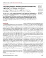 Functional definition of a transcription factor hierarchy regulating T cell lineage commitment