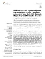 Differential O- and glycosphingolipid glycosylation in human pancreatic adenocarcinoma cells with opposite morphology and metastatic behavior