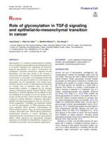 Role of glycosylation in TGF-beta signaling and epithelial-to-mesenchymal transition in cancer