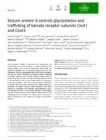 Seizure protein 6 controls glycosylation and trafficking of kainate receptor subunits GluK2 and GluK3