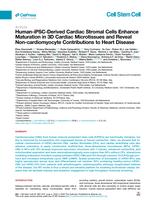 Human-iPSC-derived cardiac stromal cells enhance maturation in 3D cardiac microtissues and reveal non-cardiomyocyte contributions to heart disease