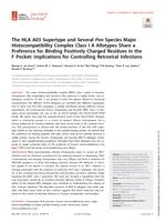 The HLA A03 supertype and several pan species major histocompatibility complex class I A allotypes share a preference for binding positively charged residues in the F pocket