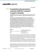 Cytoskeletal disorganization underlies PABPN1-mediated myogenic disability