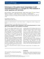 Performance of the pattern-based interpretation of p53 immunohistochemistry as a surrogate for TP53 mutations in vulvar squamous cell carcinoma