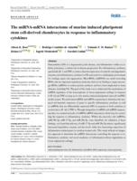 The miRNA-mRNA interactome of murine induced pluripotent stem cell-derived chondrocytes in response to inflammatory cytokines