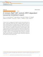 A trimeric Rab7 GEF controls NPC1-dependent lysosomal cholesterol export