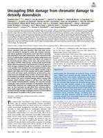 Uncoupling DNA damage from chromatin damage to detoxify doxorubicin