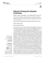 Editorial: Probing the Ubiquitin Landscape