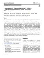 A systematic review of pathological findings in COVID-19: a pathophysiological timeline and possible mechanisms of disease progression