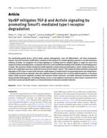 VprBP mitigates TGF-beta and Activin signaling by promoting Smurf1-mediated type I receptor degradation