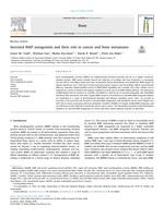 Secreted BMP antagonists and their role in cancer and bone metastases