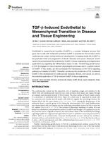 TGF-beta-induced endothelial to mesenchymal transition in disease and tissue engineering